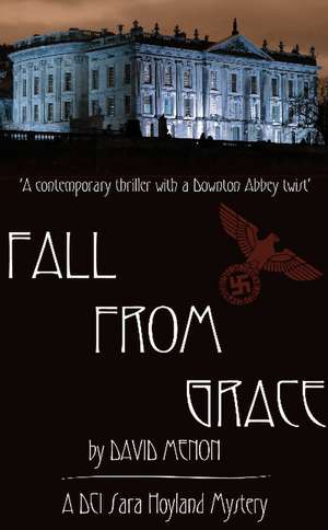 Fall From Grace de David Menon