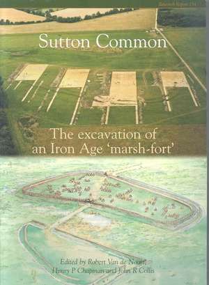 Sutton Common: The Excavation of an Iron Age Marsh-Fort de Robert van de Noort