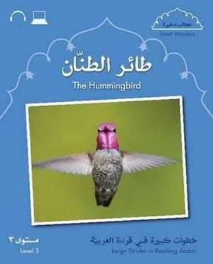 Small Wonders: the Hummingbird de Mahmoud Gaafar