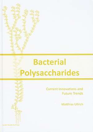 Bacterial Polysaccharides: Current Innovations and Future Trends de Matthias Ullrich