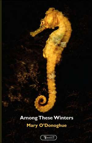 Among These Winters de Mary O'Donoghue