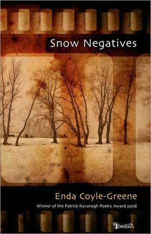 Snow Negatives de Enda Coyle-Greene