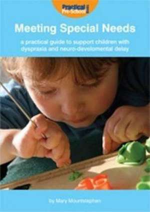 A Practical Guide to Support Children with Dyspraxia and Neurodevelopmental Delay de Mary Mountstephen