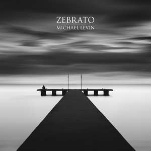 Zebrato de Michael Levin