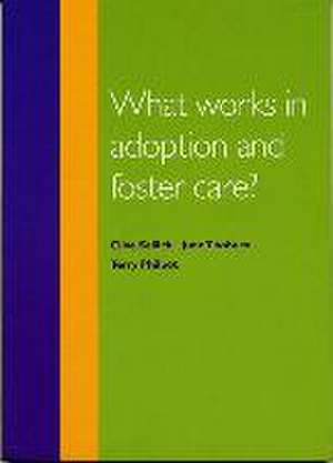 What Works in Adoption and Foster Care? de June Thoburn