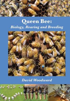 Queen Bee de David R Woodward