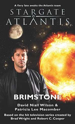 STARGATE ATLANTIS Brimstone de David Niall Wilson