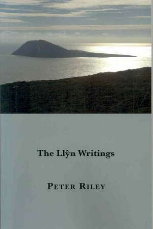 The Llyn Writings de Peter Riley