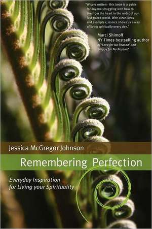 Remembering Perfection de Jessica McGregor Johnson