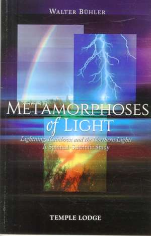 Metamorphoses of Light de Walter Buhler