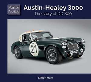 Austin Healey 3000 de Simon Ham