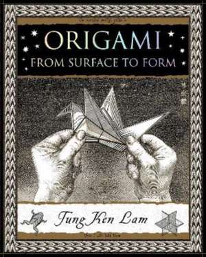 Origami de Tung Ken Lam