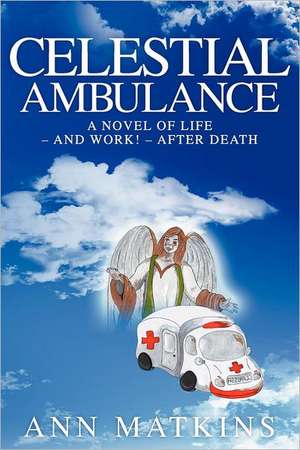 Celestial Ambulance de Ann Matkins