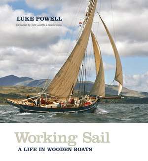 Working Sail de Luke Powell