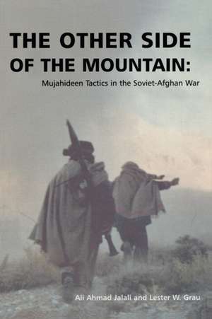 The Other Side of the Mountain de Ali Ahmad Jalali