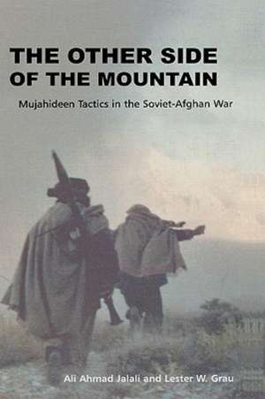 The Other Side of the Mountain de Ali Ahmed Jalali