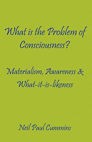 What Is the Problem of Consciousness?: Materialism, Awareness & What-It-Is-Likeness de Neil Paul Cummins