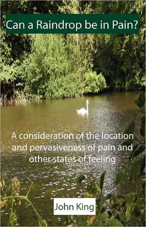 Can a Raindrop Be in Pain?: A Consideration of the Location & Pervasiveness of Pain and Other States of Feeling de John King