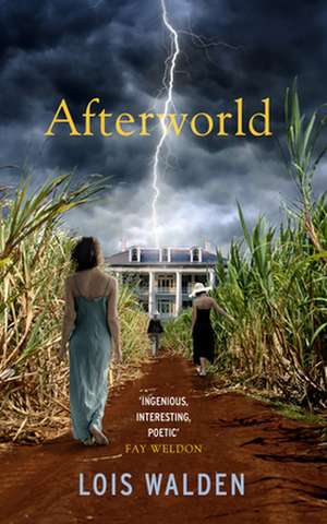 Afterworld de Lois Walden