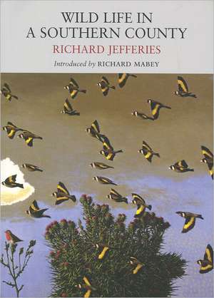 Wild Life in a Southern County de Richard Jefferies