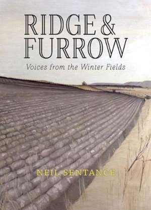 Sentance, N: Ridge and Furrow de Neil Sentance