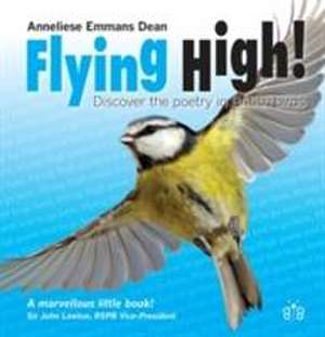 Flying High de Anneliese Emmans Dean