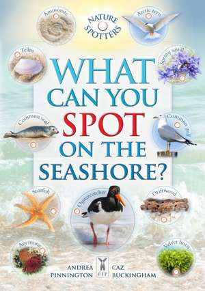 What Can You Spot on the Seashore? de Caz Buckingham