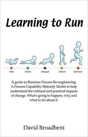 Learning to Run - A Guide to Business Process Re-Engineering: The 7 Principles of Building a High Performance Culture de David Broadbent