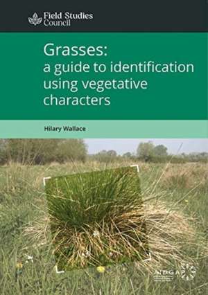 Grasses: a guide to identification using vegetative characters de Hilary Wallace