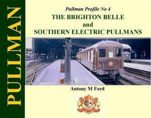 Pullman Profile No 4 de Antony Ford