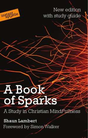 A Book of Sparks de Shaun Lambert