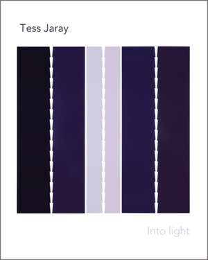 Tess Jaray: Into Light de Tess Jaray