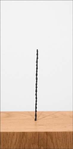 Shilpa Gupta de Chris Bayley