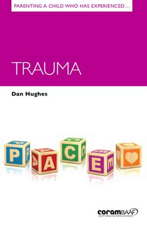 Parenting a Child Who Has Experienced Trauma de Dan Hughes