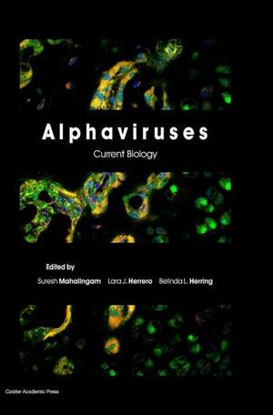 Alphaviruses de Lara Herrero