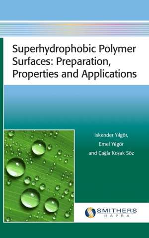 Superhydrophobic Polymer Surfaces de Iskender Yilgör