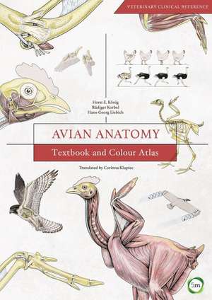 Avian Anatomy de Koenig, Horst E.