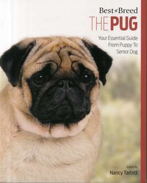 Pug de Nancy Tarbitt