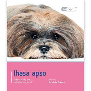 Lhasa Apso de Patricia Conlon