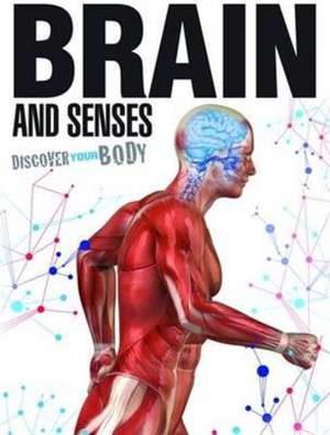 Green, D: Brain and Senses de Dr Jen Green