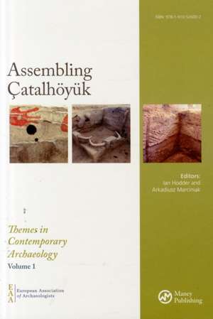 Assembling Çatalhöyük de Ian Hodder