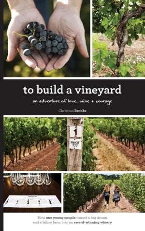 To Build A Vineyard de Christina Brooks