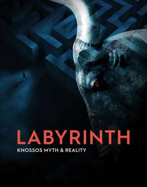 Labyrinth de Andrew Shapland