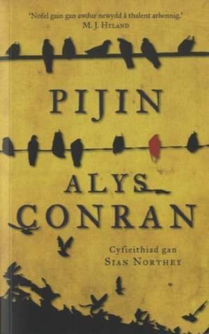 Pijin de Alys Conran