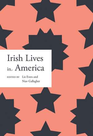 Irish lives in America de Liz Evers