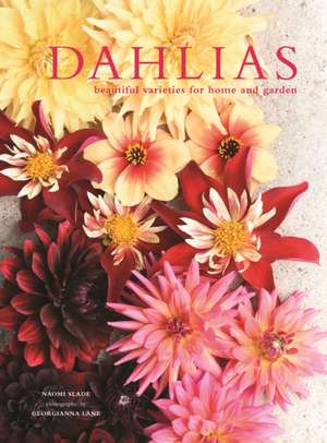 Dahlias de Georgianna Lane