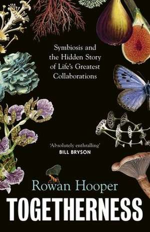 Togetherness de Rowan Hooper