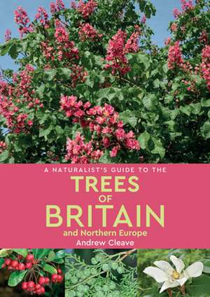 A Naturalist's Guide to the Trees of Britain & Northern Europe de Andrew Cleave