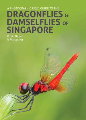 A Photographic Field Guide to the Dragonflies & Damselflies of Singapore de Robin Ngiam