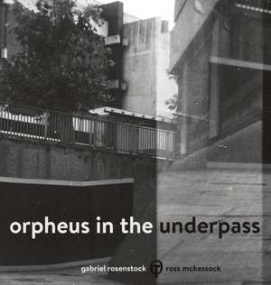 Orpheus in the Underpass de Gabriel Rosenstock